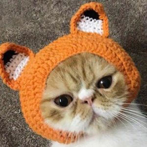 Meet your Posher, Quenie